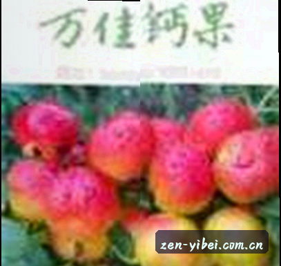 赵阳